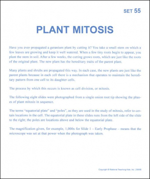 Plant Mitosis Microslide Lesson Set
