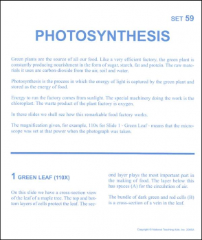 Photosynthesis Microslide Lesson Set