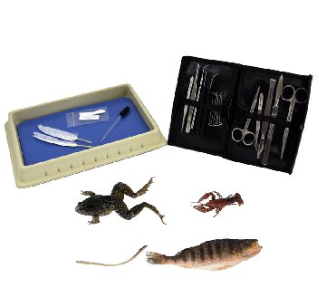 Discovering Design with Biology, Dissection Kit