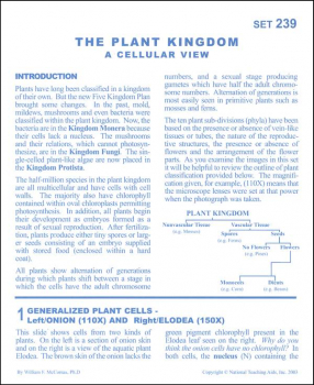 Plant Kingdom Microslide Lesson Set