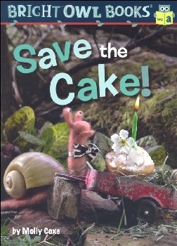 Save the Cake!: Long Vowel a (Bright Owl Book)