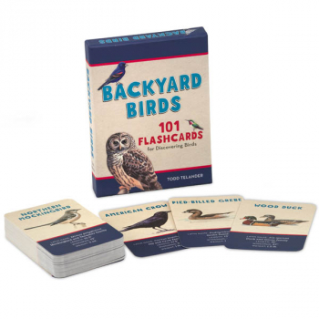 Backyard Birds Flashcards