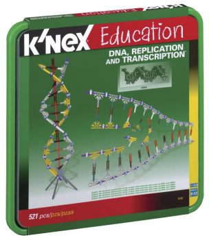 DNA, Replication & Transcription Set (521 Pieces)