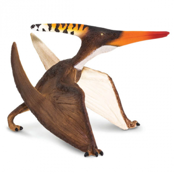 Pteranodon (Wild Safari Prehistoric World)