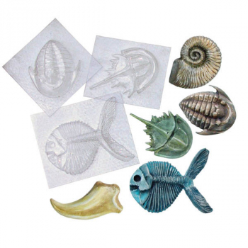 Fossil Molds (5 designs)