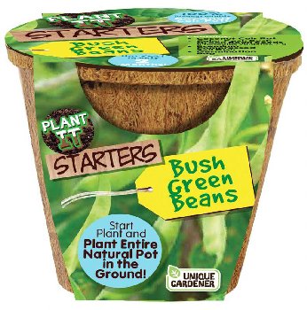 Bush Green Beans (Plant-It Starters)