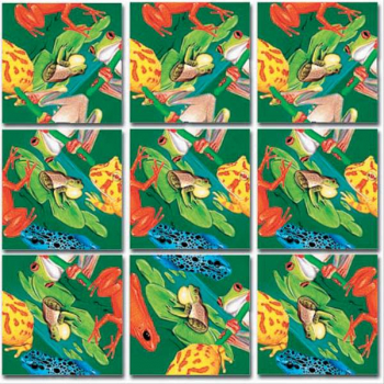 Frogs Scramble Squares