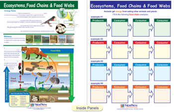 Ecosystems, Food Chains & Food Webs (Science Visual Learning Guides)