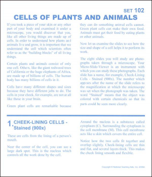 Cells of Plants and Animals Microslide Set
