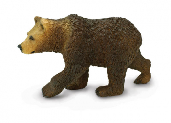 Grizzly Bear Cub (North American Wildlife)