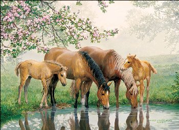 Watering Hole Tray Puzzle (35 piece)