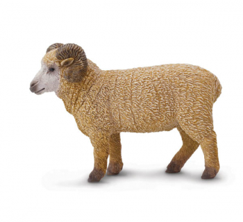 Ram (Safari Farm)