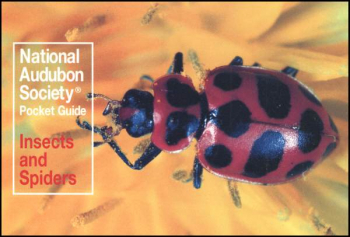 Audubon Pocket Guide: Insects and Spiders