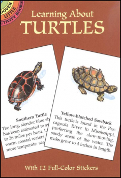 Learning About Turtles