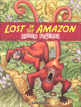 Lost in the Amazon: Hidden Pictures