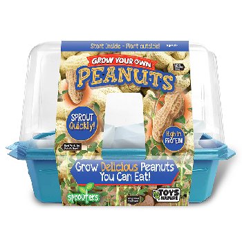 Grow Your Own Peanuts (Sprouters Greenhouse)