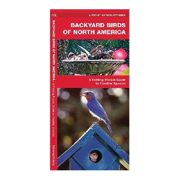 Backyard Birds of North America: Folding Pocket Guide to Familiar Species