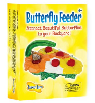 Butterfly Feeder
