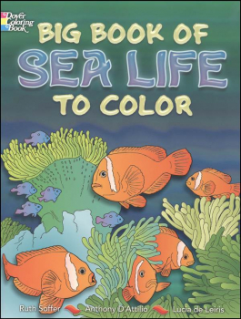 Big Book Of Sea Life To Color
