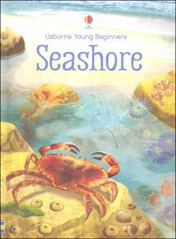 Seashore (Usborne Young Beginners)