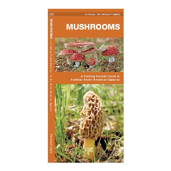 Mushrooms (Pocket Naturalist Guide)