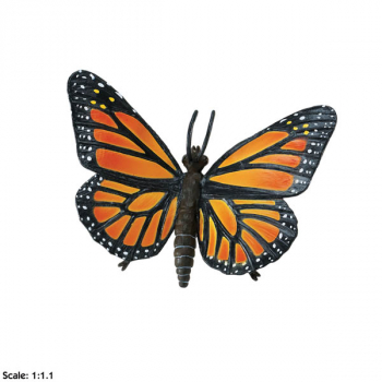 Monarch Butterfly (Incredible Creatures)