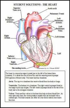 Heart Laminated Card