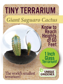Giant Saguaro Cactus (Tiny Terrarium)