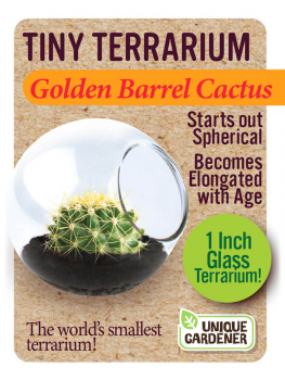 Golden Barrel Cactus (Tiny Terrarium)