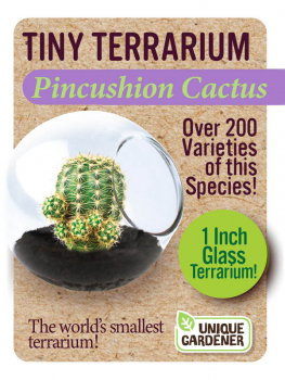 Pincushion Cactus (Tiny Terrarium)