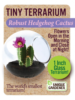 Robust Hedgehog Cactus (Tiny Terrarium)