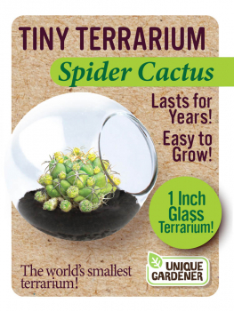 Spider Cactus (Tiny Terrarium)