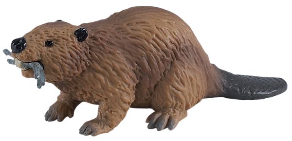 Beaver (North American Wildlife)