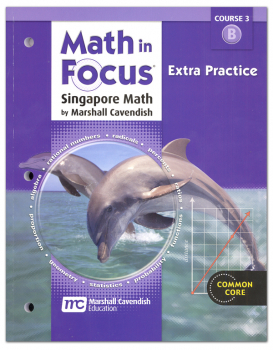 Math in Focus Course 3 Extra Practice B (Gr 8