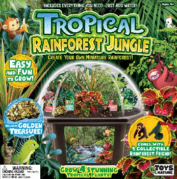 Tropical Rainforest Jungle