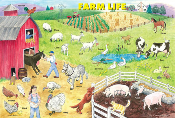 Farm Life Placemat