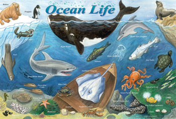 Ocean Life Placemat