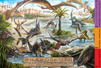 Pterosaurs Placemat