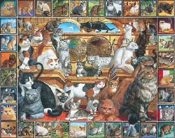 World of Cats Puzzle (1000 Piece)