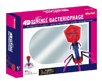 4D Science Bacteriophage Anatomy Model