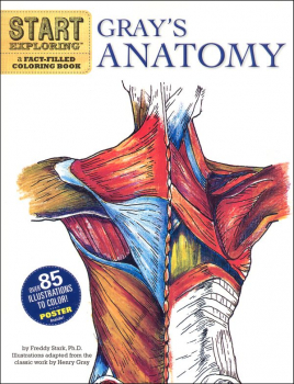 Gray's Anatomy Coloring Book - Start Exploring