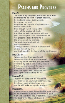 Psalms & Proverbs Mind & Heart Memory Card