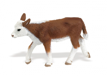 Hereford Cow (Safari Farm)