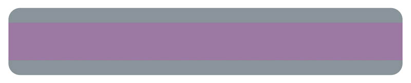 Double Wide Sentence Strip Reading Guide - Purple