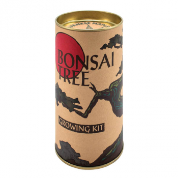 Bonsai (Japanese Maple) Grow-A-Tree Kit