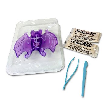 Dissect It - Bat Lab