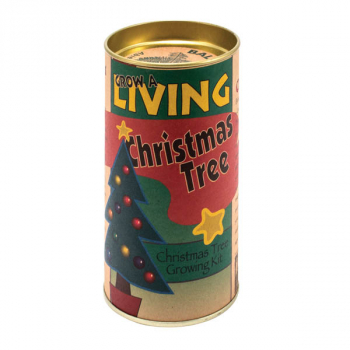 Christmas - Balsam Fir Grow-A-Tree Kit
