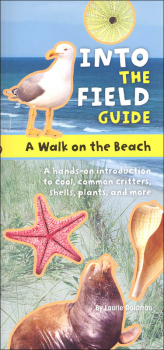 Walk on the Beach (Into the Field Guide)