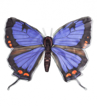 Realistic Butterfly Wings - Colorado Hairstreak