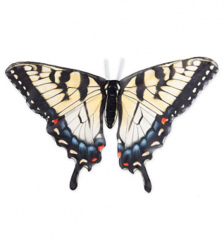 Realistic Butterfly Wings - Swallowtail